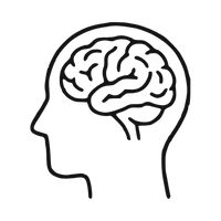 Outline of a head with a brain inside on a white background